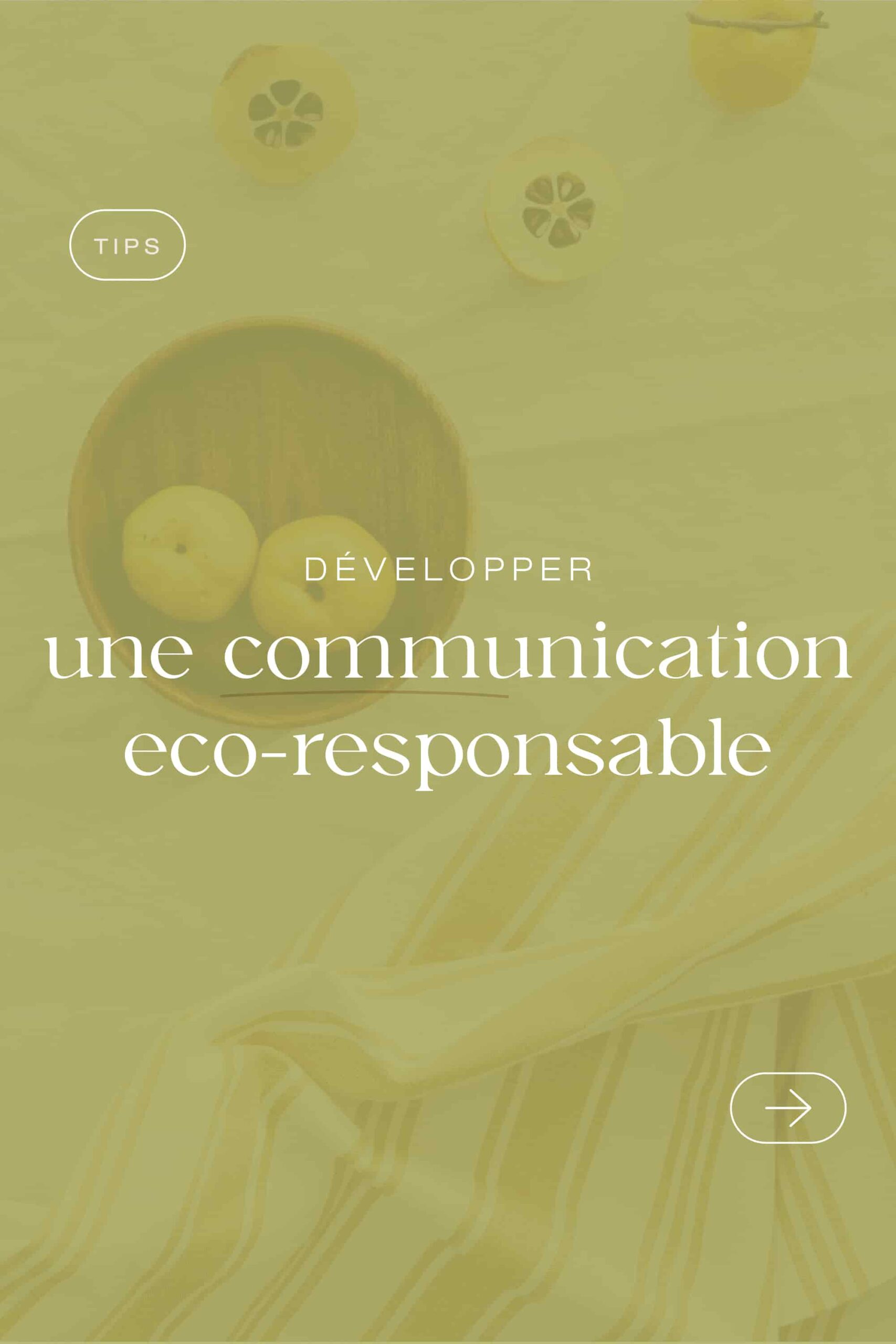 Image d'article de blog parlant de développer une communication éco-responsable pour son entreprise