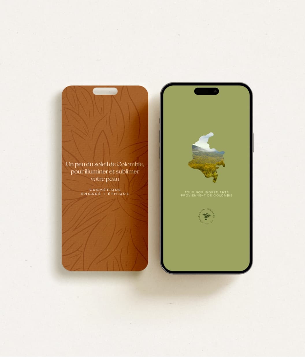 Stories pour la marque Comblée